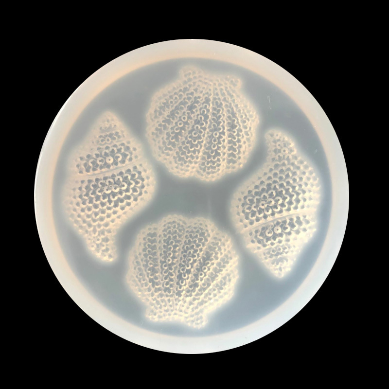 New Shell Silicone Mold Conch  - Phone Cases Eco Friendly recensie en prijs